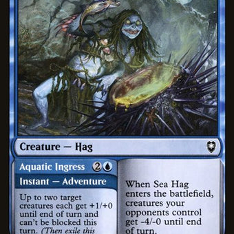 95-seahagaquaticingress