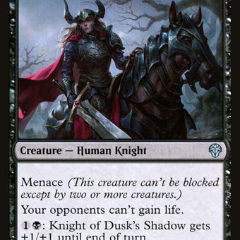 96-knightofdusksshadow