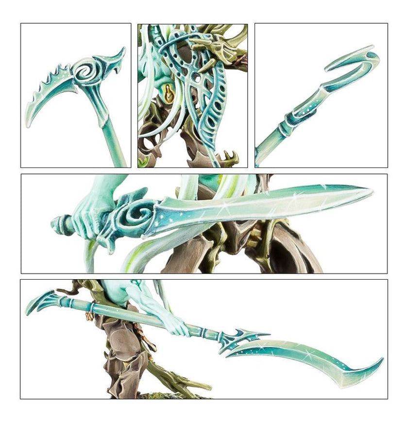 Tree-Revenants - Sylvaneth - Age of Sigmar