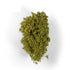 AK Diorama: Spring Filigree Bushes 1:35
