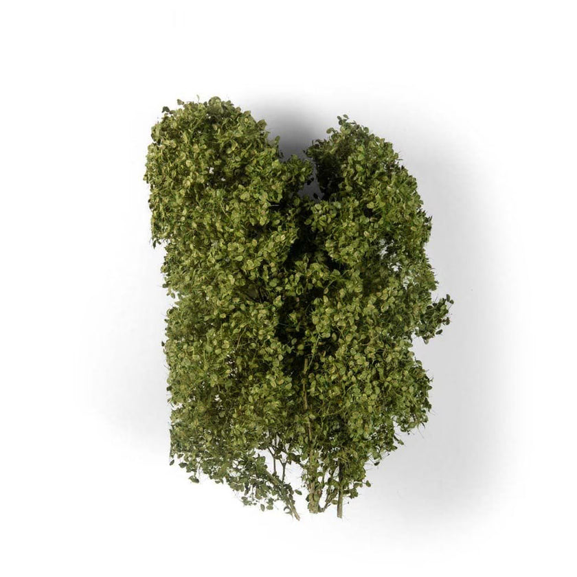 AK Diorama: Summer Filigree Bushes 1:35
