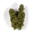 AK Diorama: Early Fall Filigree Bushes 1:35