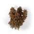 AK Diorama: Late Fall Filigree Bushes 1:35