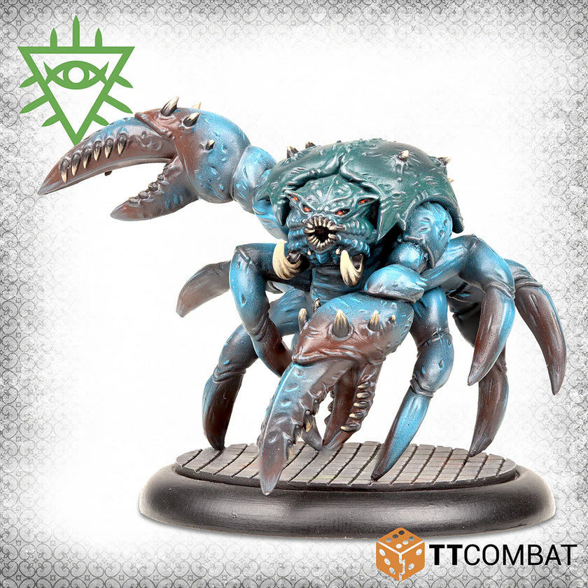 TT Combat The Rashaar Blister Packs