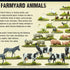 Bolt Action - Farmyard Animals