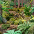 Bolt Action For the Emperor! Japanese Starter Army