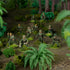 Bolt Action For the Emperor! Japanese Starter Army
