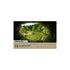 Forest Shuffle Exploration Expansion