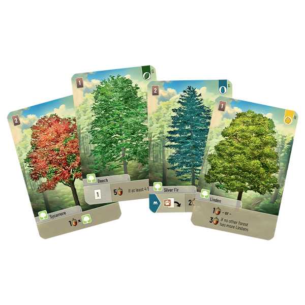 Forest Shuffle - Board Game