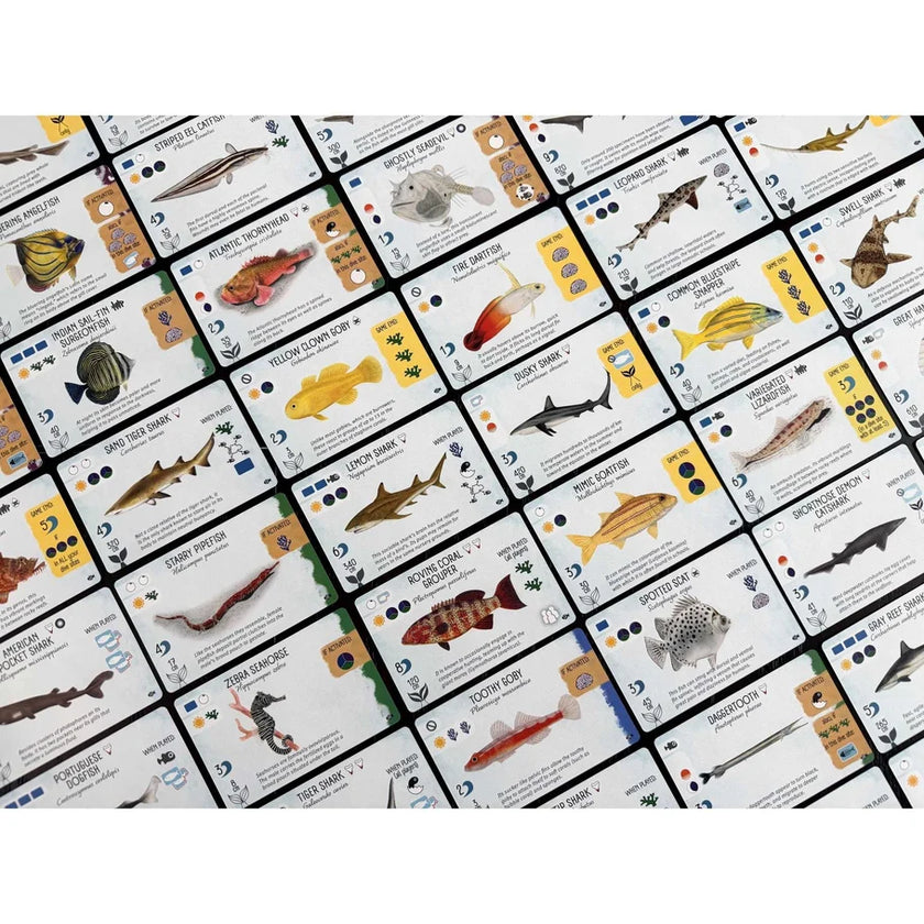 Finspan: Sharks & Reefs Expansion