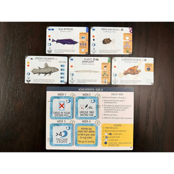 Finspan: Sharks & Reefs Expansion