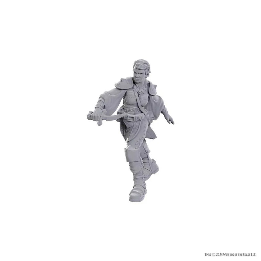 D&D Nolzur's Marvelous Unpainted Miniatures: Swashbuckler