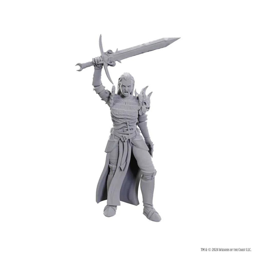 D&D Nolzur's Marvelous Unpainted Miniatures: Blackguard