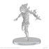 Pathfinder Battles Deep Cuts Unpainted Miniatures: Living Landslide & Living Wildfire