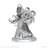 Pathfinder Battles Deep Cuts Unpainted Miniatures: Aghash & Venedaemon (Pact Daemon)