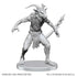 D&D Nolzur's Marvelous Miniatures: Bulezau & Quasit