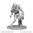 D&D Nolzur's Marvelous Miniatures: Rutterkin & Maw Demon