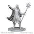 D&D Nolzur's Marvelous Miniatures: Drow Mage & Yochlol