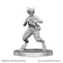 D&D Nolzur's Marvelous Miniatures: Satyr & Dryad