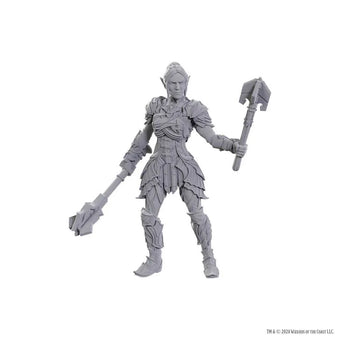 D&D Nolzur's Marvelous Unpainted Miniatures: Special Edition Baldur's Gate 3 - Dame Aylin & Minthara