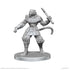 Pathfinder Deep Cuts Unpainted Miniatures: Elf Hunter & Catfolk Bandit