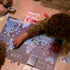 Pandemic  - Game