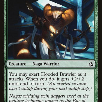 AKH-173-hoodedbrawler