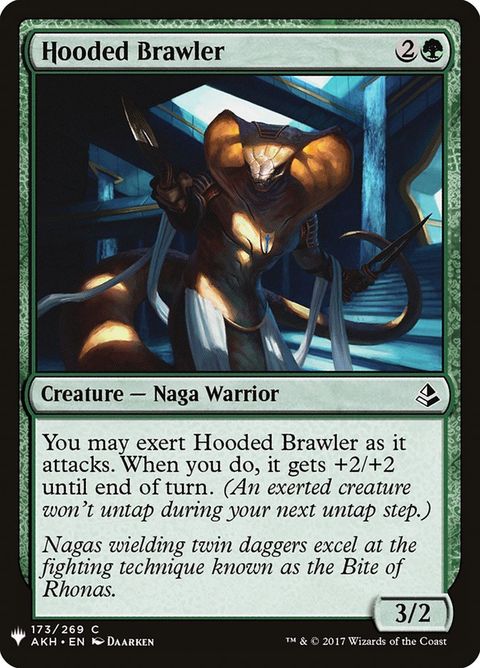 AKH-173-hoodedbrawler