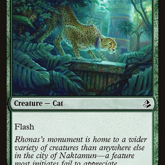 AKH-179-pouncingcheetah