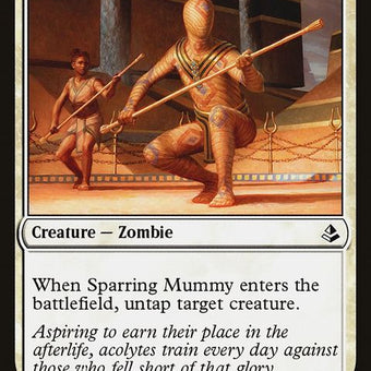 AKH-29-sparringmummy