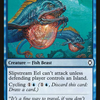 CM2-49-slipstreameel