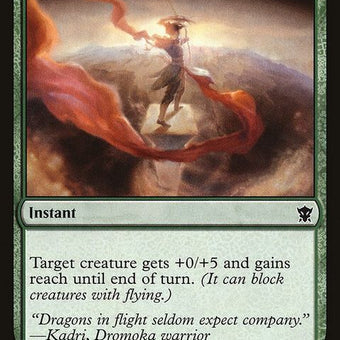 DTK-205-shapethesands