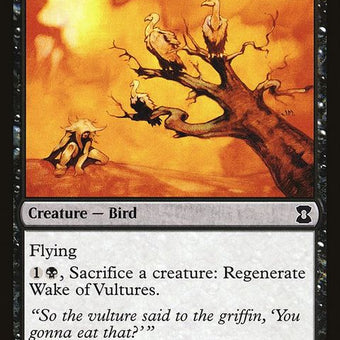 EMA-115-wakeofvultures