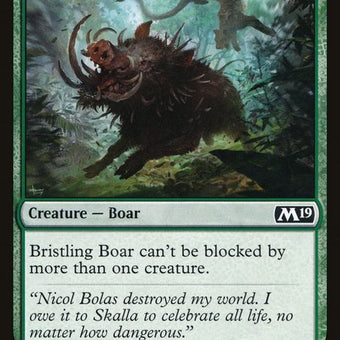 M19-170-bristlingboar