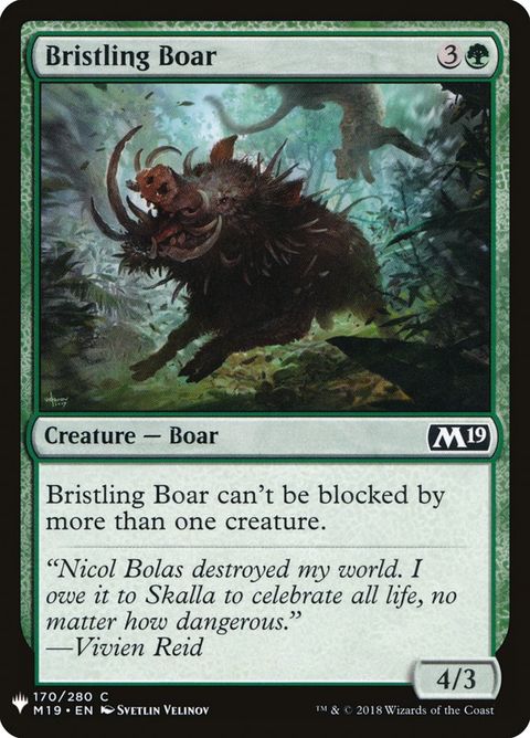 M19-170-bristlingboar