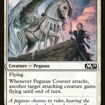 M19-32-pegasuscourser