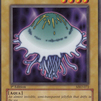 mrd-072-jellyfish
