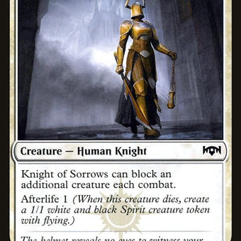 RNA-14-knightofsorrows