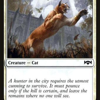 RNA-17-prowlingcaracal