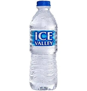 Water Bottle - Ice Valley - 500ml