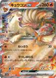 Ninetales Ex 038/165