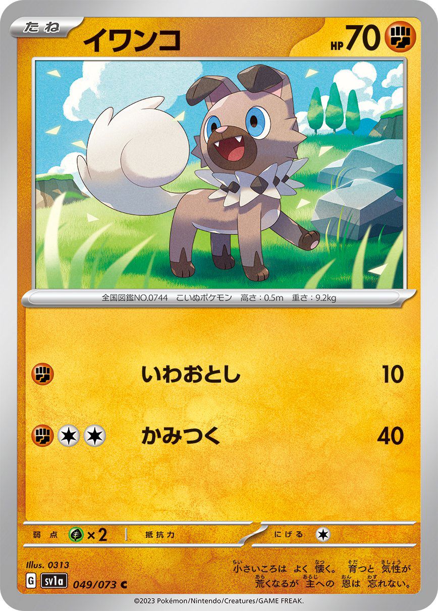 Rockruff 049/073