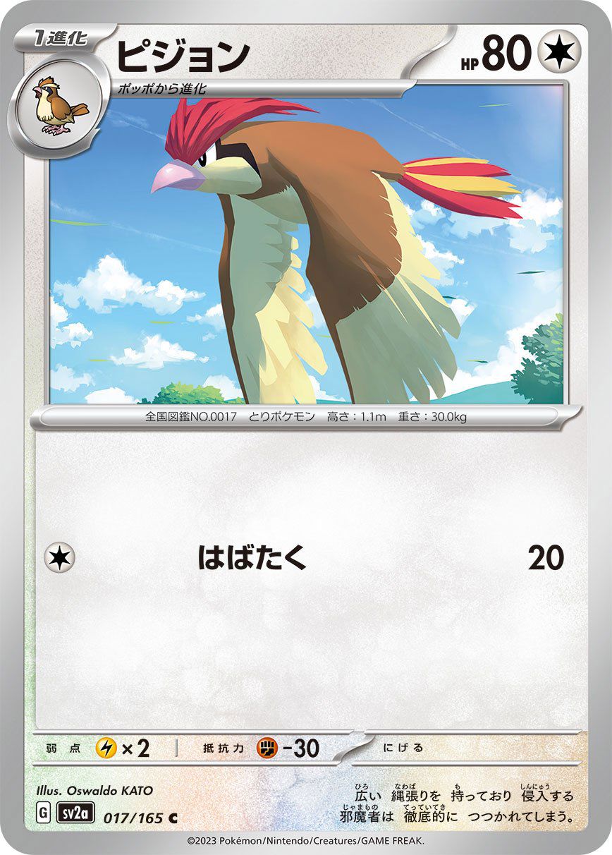 Pidgeotto 017/165